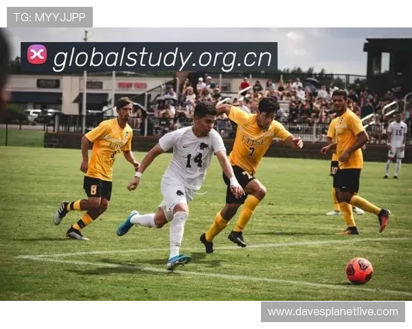 乐鱼体育在线直播平台全面升级，带来更高清流畅的观看体验